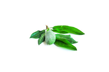 Fresh green almonds isolated on white background.