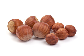 Hazelnut. Fresh organic filbert nut, isolated on white background.