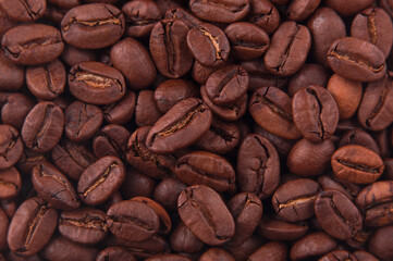 Coffee arabica beans close-up under hard light. Photo horizontal HD
