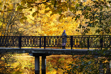 Autumn colors. Girl on the bridge over the pond in the autumn park - 471696725