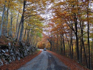mountain road in autumn in abruzzo, italy