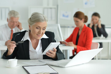 Obraz premium Business woman with a calculator in office