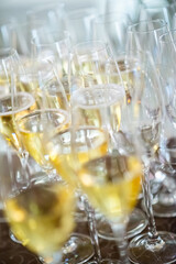 Champagne in the glases on the buffet table, celebration holidays
