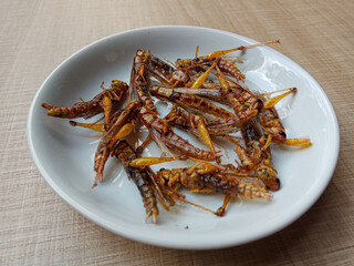 Fried grasshopper, from species Valanga nigricornis or Javanese grasshopper.