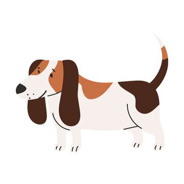 pet dog beagle