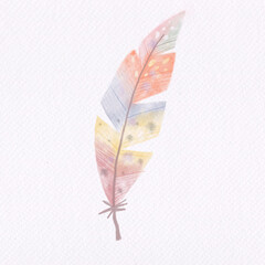 Sweet feather on white watercolor paper texture. Illustration digital paint.