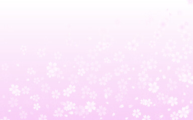 春の背景素材、桜の花びら