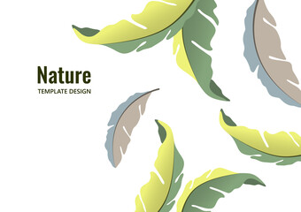 Obraz premium Colorful decorative oak leaves on a white background, falling foliage. Creative template for your design. Vector