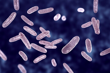 Bacteria Citrobacter, Gram-negative coliform bacteria from Enterobacteriaceae family, 3D illustration - obrazy, fototapety, plakaty