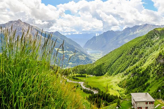 Poschiavo, Puschlav, Val Poschiavo, Lago di Poschiavo, Alpen, Wanderweg, Berninapass, Berninaexpress, Zugfahrt, Tirano, Sommer, Schweiz