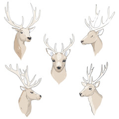 Reindeer Christmas icon set. Moving deer collection.