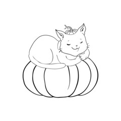 Cat is sitting on the pumpkin isolated on white. Vector illustration.