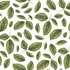 Twigs with green leaves on a white background. Seamless pattern. 
