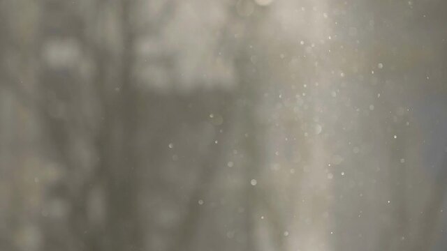 Snowflakes in sunlight. Snowfall in the city. Lighted snowflakes with city background. Snowflakes in sunny winter day.