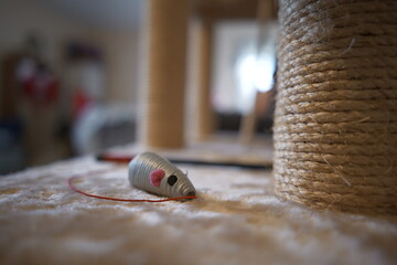 mouse cat toy on cat tree