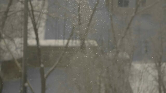 Snowflakes in sunlight. Snowfall in the city. Lighted snowflakes with city background. Snowflakes in sunny winter day.