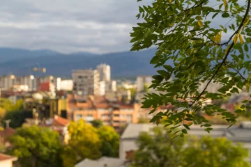 Foto op Canvas Panoramica, vista, paisaje, panoramic, view, landscape o skyline en la ciudad de Plovdiv, pais de Bulgaria © Alvaro Martin