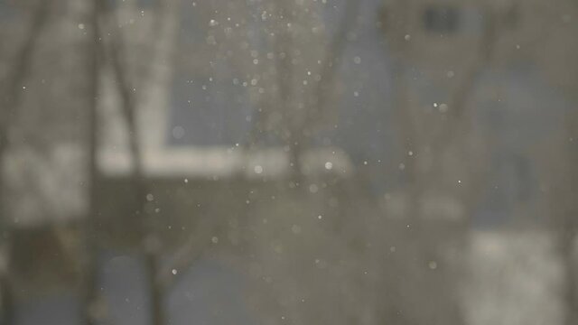 Snowflakes in sunlight. Snowfall in the city. Lighted snowflakes with city background. Snowflakes in sunny winter day.