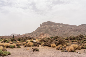 The lava fields of Las Canadas caldera of Teide volcano and rock formations - Roques de Garcia. Tenerife. Canary Islands. Spain.