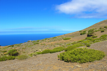 El Sabinar de El Hierro