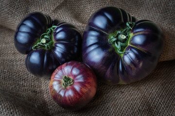 Tomatoes of the new variety Mar Azul, pink and bluish when ripe, and purple when still green, on a rough background.