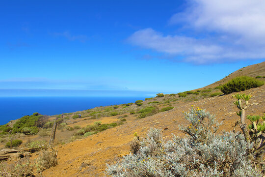 El Sabinar de El Hierro
