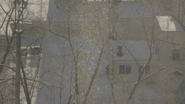 Snowflakes in sunlight. Snowfall in the city. Lighted snowflakes with city background. Snowflakes in sunny winter day.