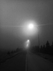 road in the mist