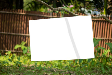 A white signboard with a tree branch is hanging and the background behind it is blurry