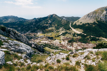 Fototapeta na wymiar Green bushes and trees in the rocky mountains. Montenegro