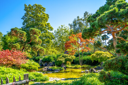 Japanischer Garten, Bietigheim Bissingen, Baden-W&uuml;rttemberg, Deutschland 