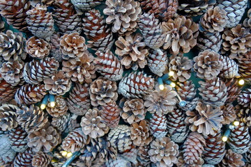 Pinnacles of pine tree as Christmas background. The pinnacles are spread with some lights on the ground. Suitable as seasonal background. 