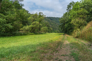 Way through floodplain meadow with trees under light cloudy sky.