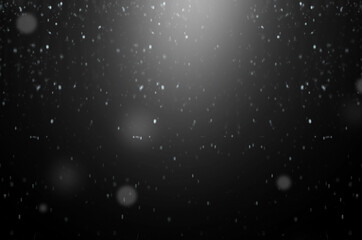 falling snow on a black background