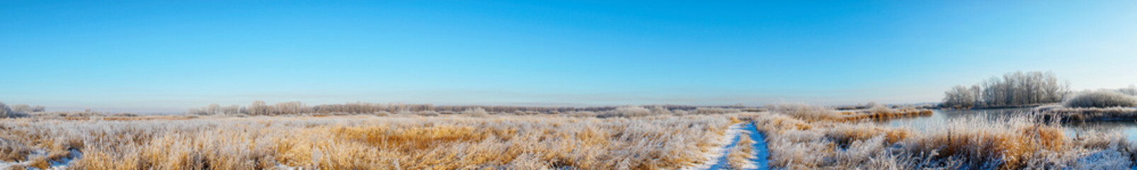 Panorama Frozen dry grass in hoarfrost in a large meadow field. Beginning of winter, frost