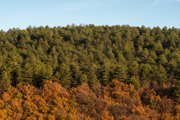 i colori dell'autunno con il suo foliage