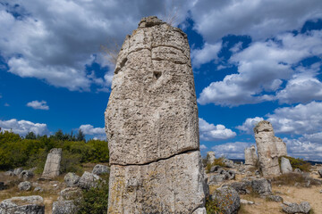 Fototapeta na wymiar Stone column in Pobiti Kamani - natural phenomenon called Stone Forest in Bulgaria