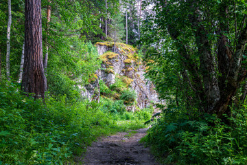 Fototapeta premium Arkhyz Reserve. Karachaevo-Cherkessiya region. Caucasus. Russia