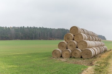 Group of rolled straw bales stacked in a pyramid form pile outdoors in the Czech Republic. Cattle...