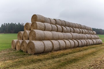 Group of rolled straw bales stacked in a pyramid form pile outdoors in the Czech Republic. Cattle...