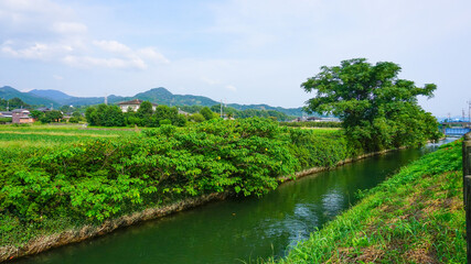 Fototapeta na wymiar 水路のある町の風景