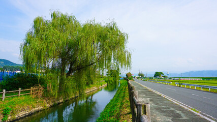 Fototapeta premium 水路のある町の風景