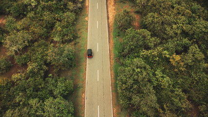 Czerwony tuk tuk, widok z góry na drodze pośród buszu safari, piękny naturalny krajobraz...