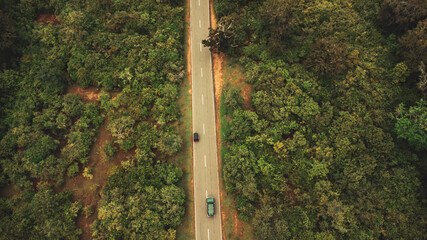 Czerwony tuk tuk, widok z góry na drodze pośród buszu safari, piękny naturalny krajobraz azjatycki.
