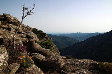 A small dead tree and a tuft of heather dominate a stunning panorama near the gorges of...