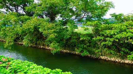 水路のある町の風景