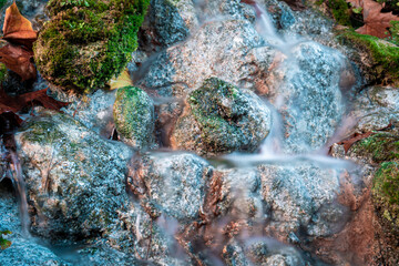 waterfall in the forest