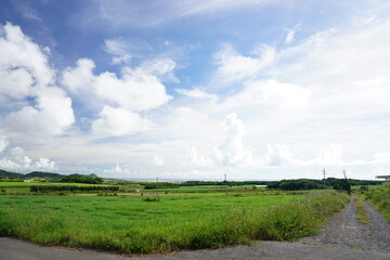 SDGs、緑のある風景。牧草地