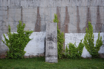 Leaf on the concrete wall