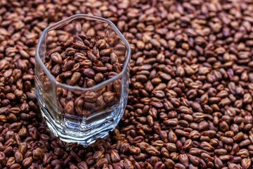 Measuring glass cup with dried grape seed on the background of its placer